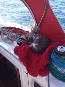 Smudge was on nearly every watch, all day, all night.
